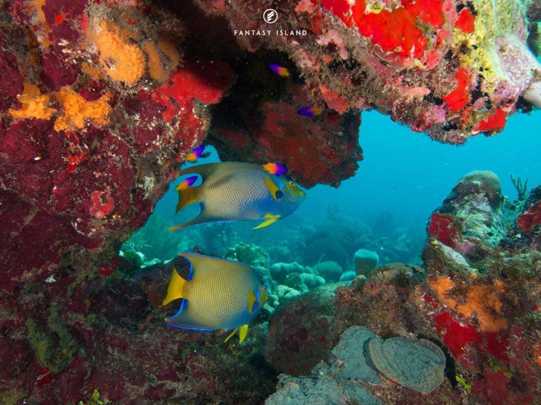 Fantasy Island Beach Resort And Marina First Bight Bagian luar foto